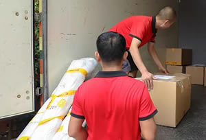 ���೤;����